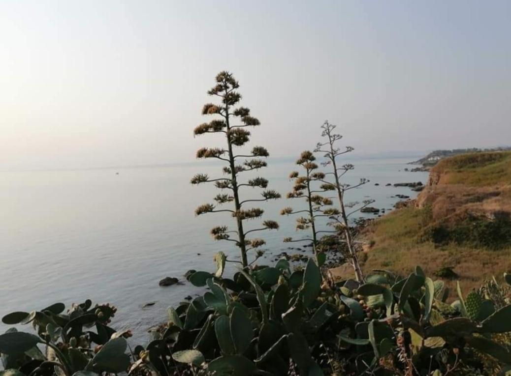 Vento Del Sud * Casalbordino